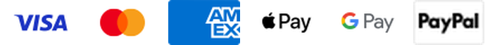 Visa, Mastercard, American Express, Apple Pay, Google Pay e PayPal